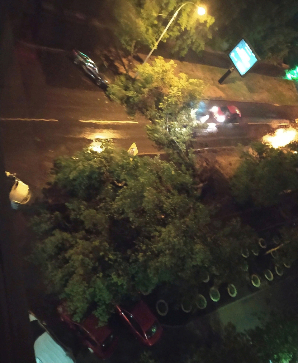 Дерево перекрыло дорогу на перекрёстке улиц Мельникова-Крауля. Дерево перекрыло дорогу на перекрёстке улиц Мельникова-Крауля.