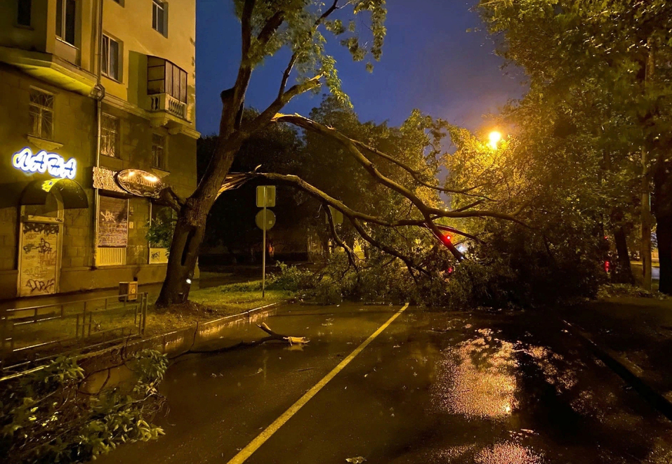 На улице Кировоградской дерево упало на дорогу. На улице Кировоградской дерево упало на дорогу.