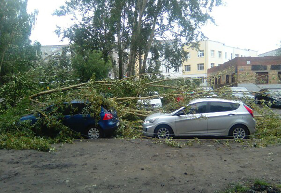 Шторм в Екатеринбурге повалил деревья. Пострадали автомобили 1 Шторм в Екатеринбурге повалил деревья. Пострадали автомобили 1