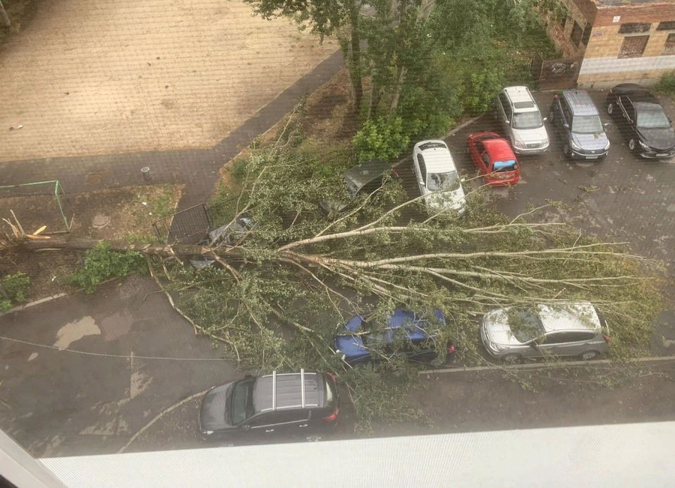 Шторм в Екатеринбурге повалил деревья. Пострадали автомобили 2 Шторм в Екатеринбурге повалил деревья. Пострадали автомобили 2