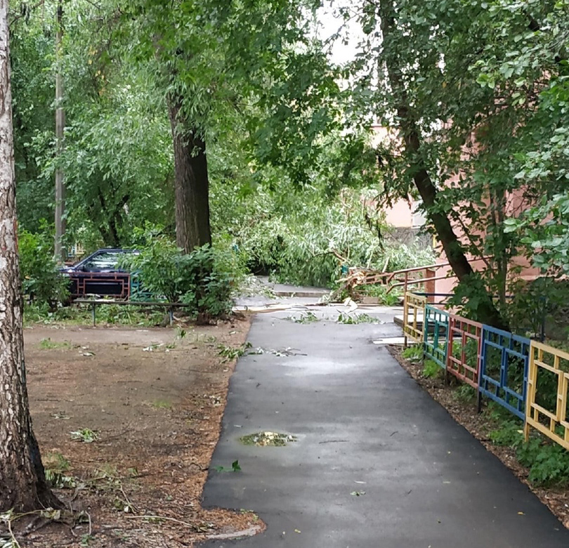 Шторм в Екатеринбурге повалил деревья. Пострадали автомобили 3 Шторм в Екатеринбурге повалил деревья. Пострадали автомобили 3