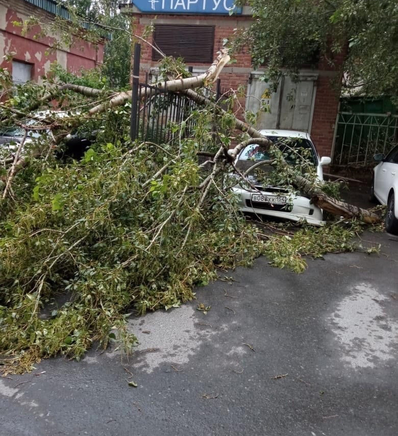 Шторм в Екатеринбурге повалил деревья. Пострадали автомобили 4 Шторм в Екатеринбурге повалил деревья. Пострадали автомобили 4