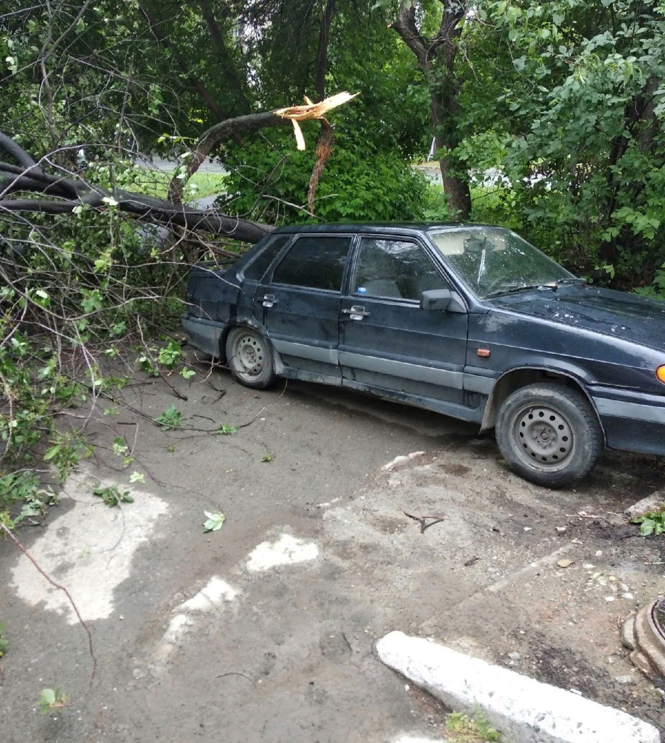 Улица Кунарская. Улица Кунарская.