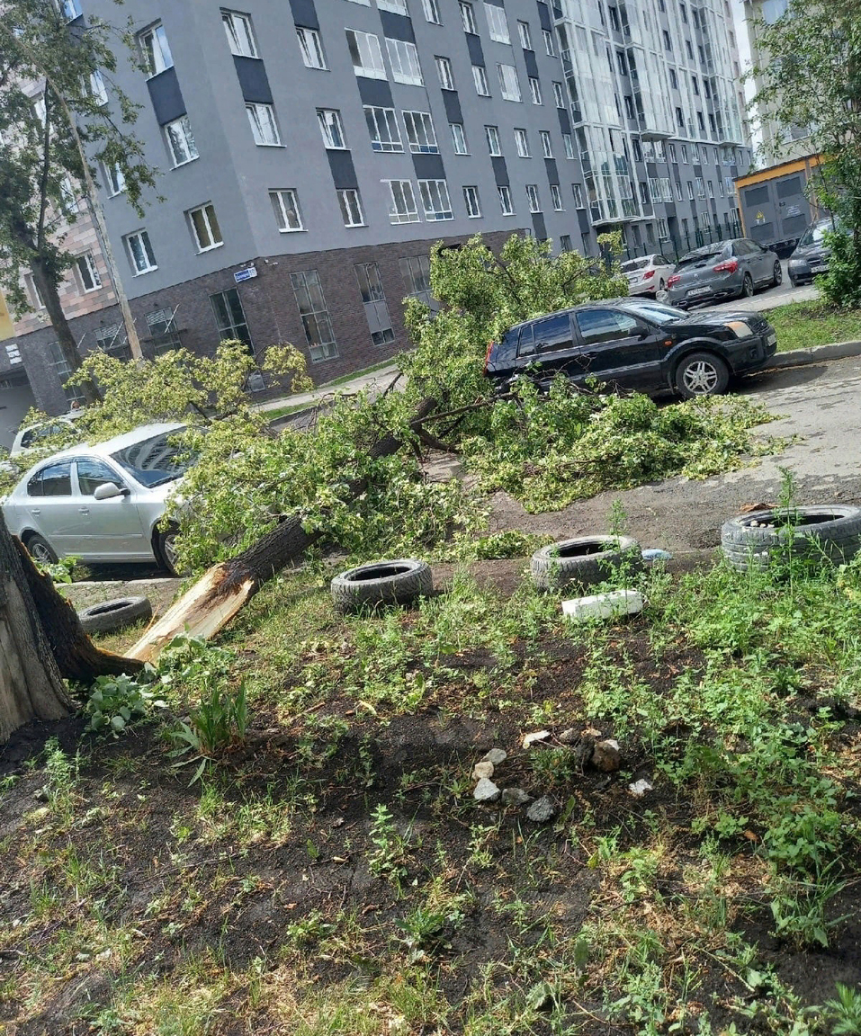 По улице Калинина пострадали автомобили. По улице Калинина пострадали автомобили.