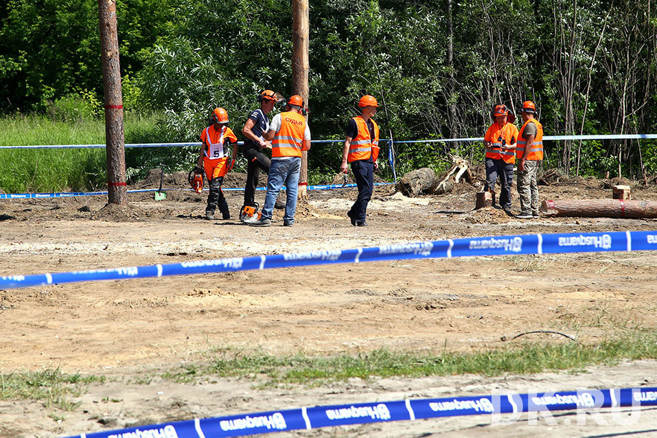 Распил по-нижегородски. Лесорубы сразились за звание самого умелого. ФОТО 1 Распил по-нижегородски. Лесорубы сразились за звание самого умелого. ФОТО 1