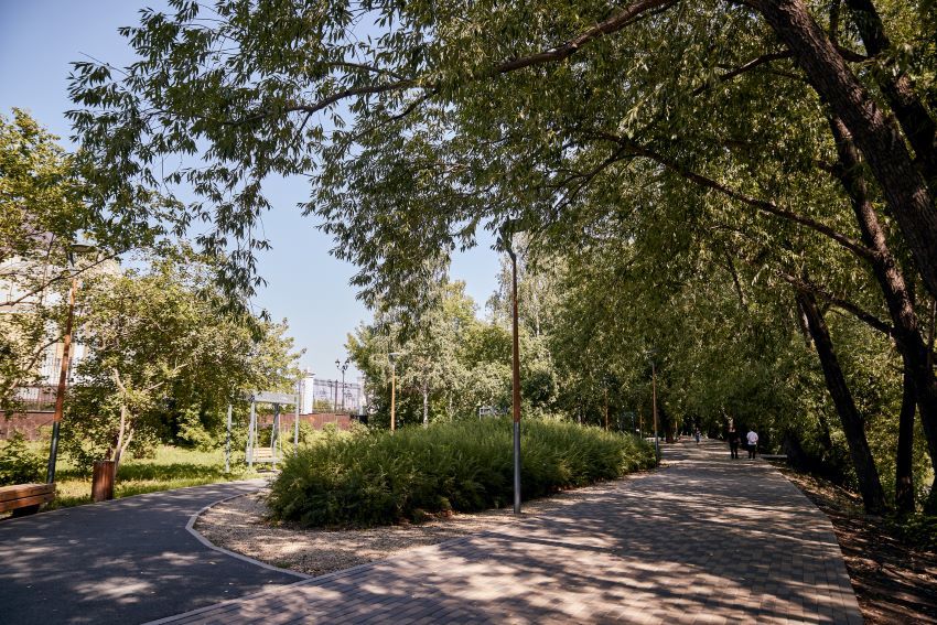 Зелень Зелень