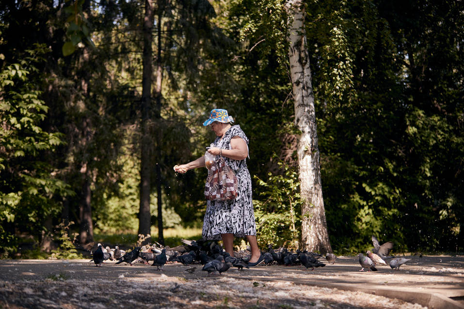 Птицы Птицы