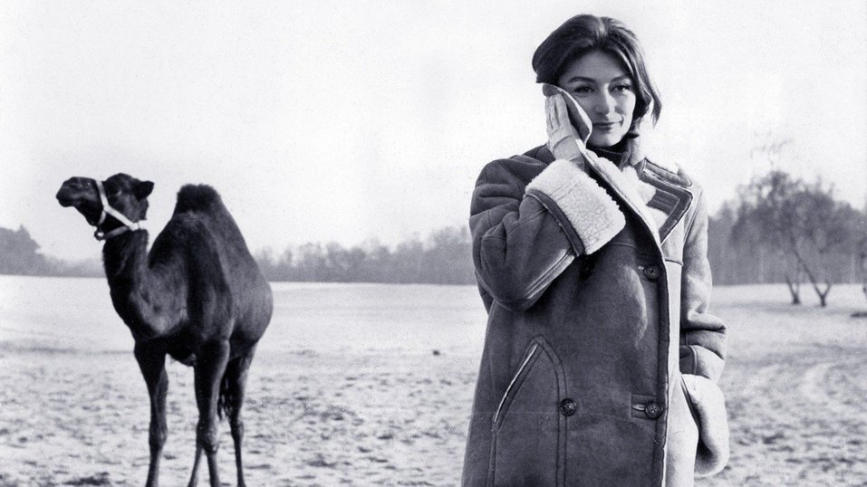 Верблюд, рыжий конь, жемчуга и глина — история одной «Визуализации»
9 Верблюд, рыжий конь, жемчуга и глина — история одной «Визуализации»
9