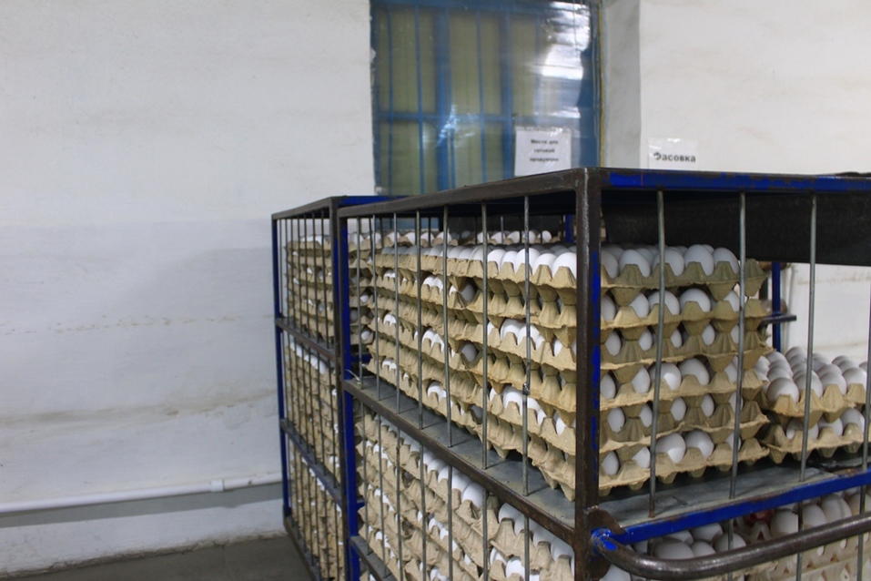 Склад яйца Склад яйца