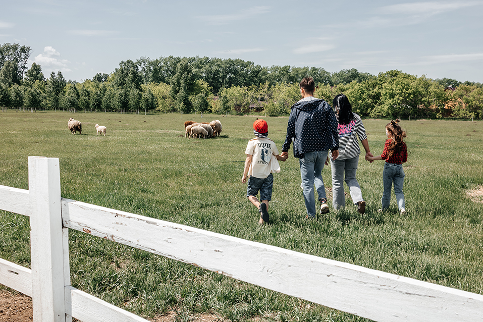 Простор для жизни 3 Простор для жизни 3