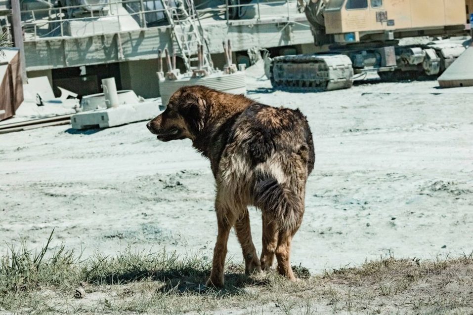 Боец невидимого фронта. Как в Новосибирске производят щебень  14 Боец невидимого фронта. Как в Новосибирске производят щебень  14