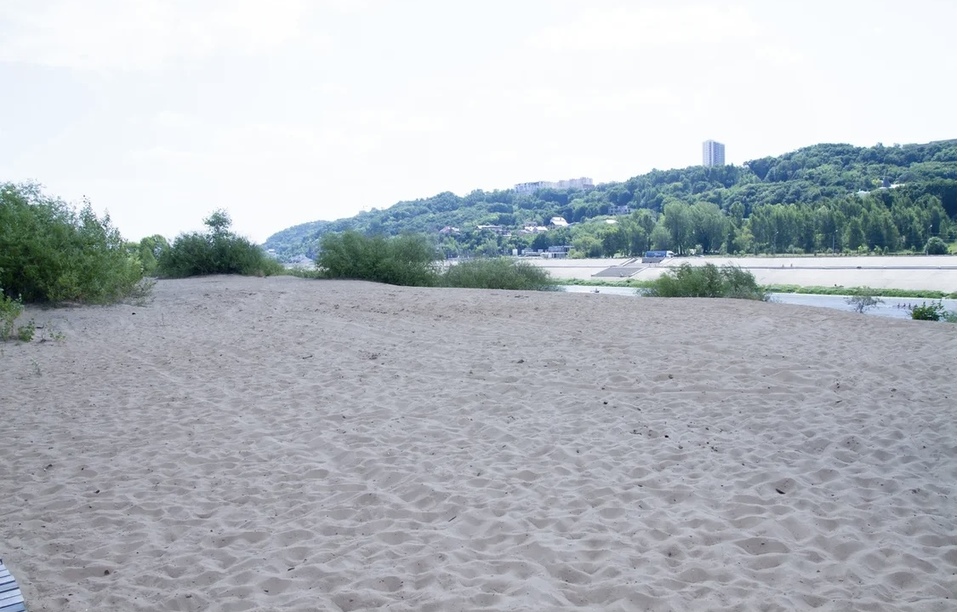 «Ежегодно в Волгу попадает 10 тонн микропластика, и все это идет в Нижний Новгород» 13 «Ежегодно в Волгу попадает 10 тонн микропластика, и все это идет в Нижний Новгород» 13