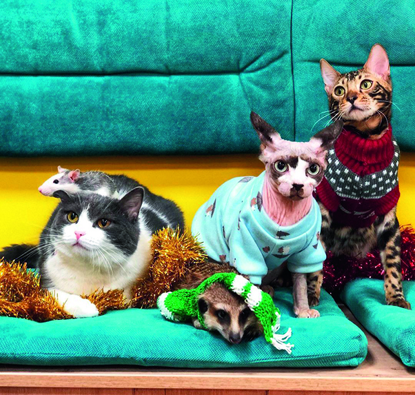 Типа ресторан: самые нетипичные заведения Красноярска 9 Типа ресторан: самые нетипичные заведения Красноярска 9