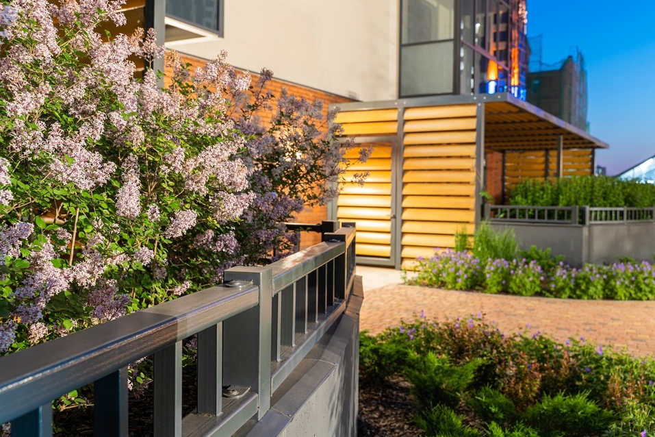 Дворы с wow-эффектом: каким должно быть внутреннее убранство современного ЖК 1 Дворы с wow-эффектом: каким должно быть внутреннее убранство современного ЖК 1