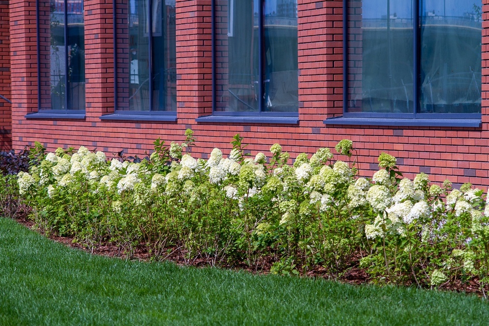 Дворы с wow-эффектом: каким должно быть внутреннее убранство современного ЖК 2 Дворы с wow-эффектом: каким должно быть внутреннее убранство современного ЖК 2