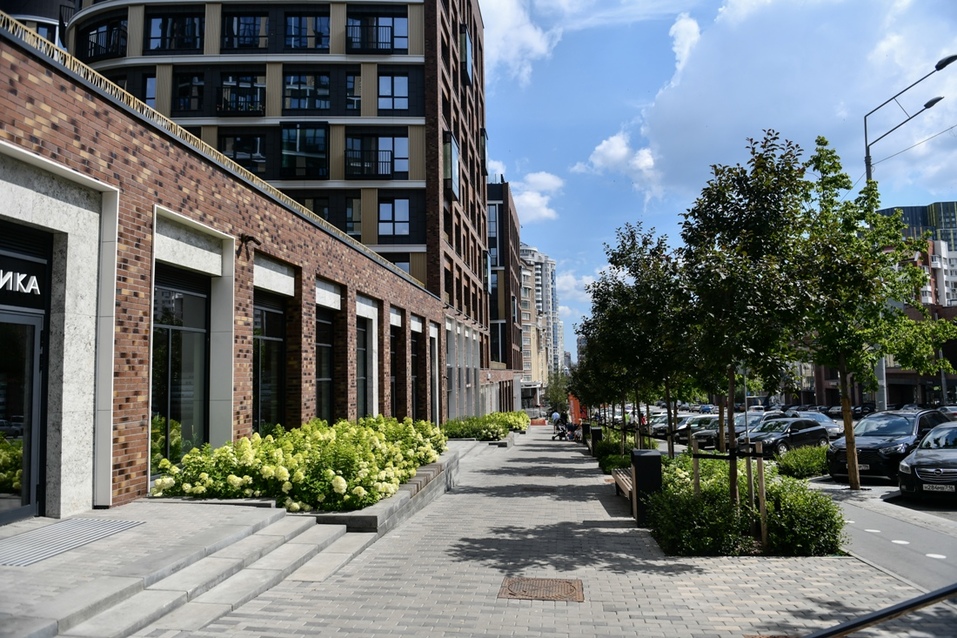 Озеленение улицы Радищева в районе ЖК Forum City Озеленение улицы Радищева в районе ЖК Forum City