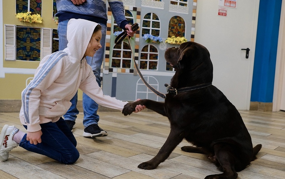 Канистерапия — лечебный эффект достигается во время общения с собаками Канистерапия — лечебный эффект достигается во время общения с собаками