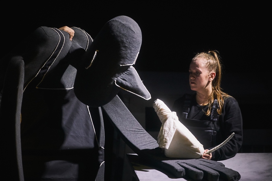 Что готовит Новосибирск культурный горожанам и их гостям в августе 5 Что готовит Новосибирск культурный горожанам и их гостям в августе 5