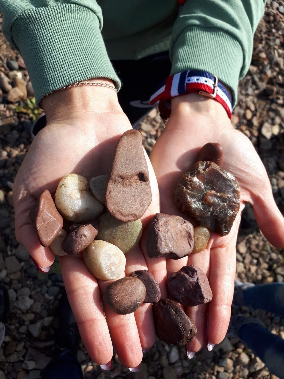 Музей Геологии Центральной Сибири Музей Геологии Центральной Сибири