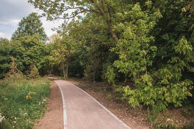 «Получается прекрасный парк». Сергею Кириенко показали реконструкцию парка «Швейцария» 2 «Получается прекрасный парк». Сергею Кириенко показали реконструкцию парка «Швейцария» 2