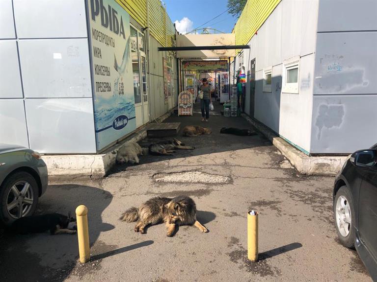 admkrsk.ru admkrsk.ru