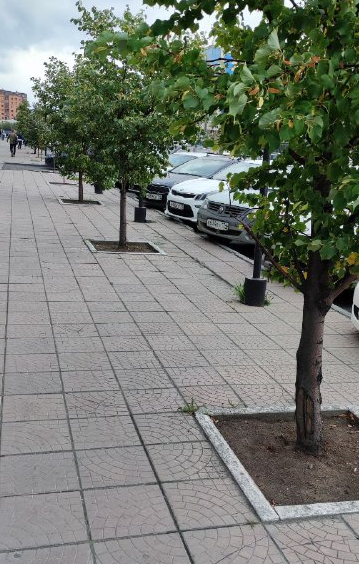 «Падал прошлогодний бордюр»: территорию у МФЦ обещают восстановить по гарантии, но не всю 3 «Падал прошлогодний бордюр»: территорию у МФЦ обещают восстановить по гарантии, но не всю 3