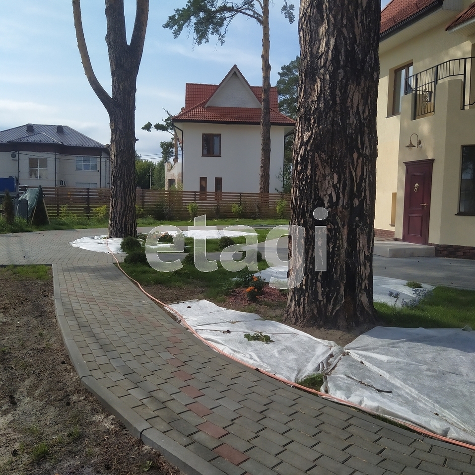 Дом расположен на улице Сурикова Дом расположен на улице Сурикова