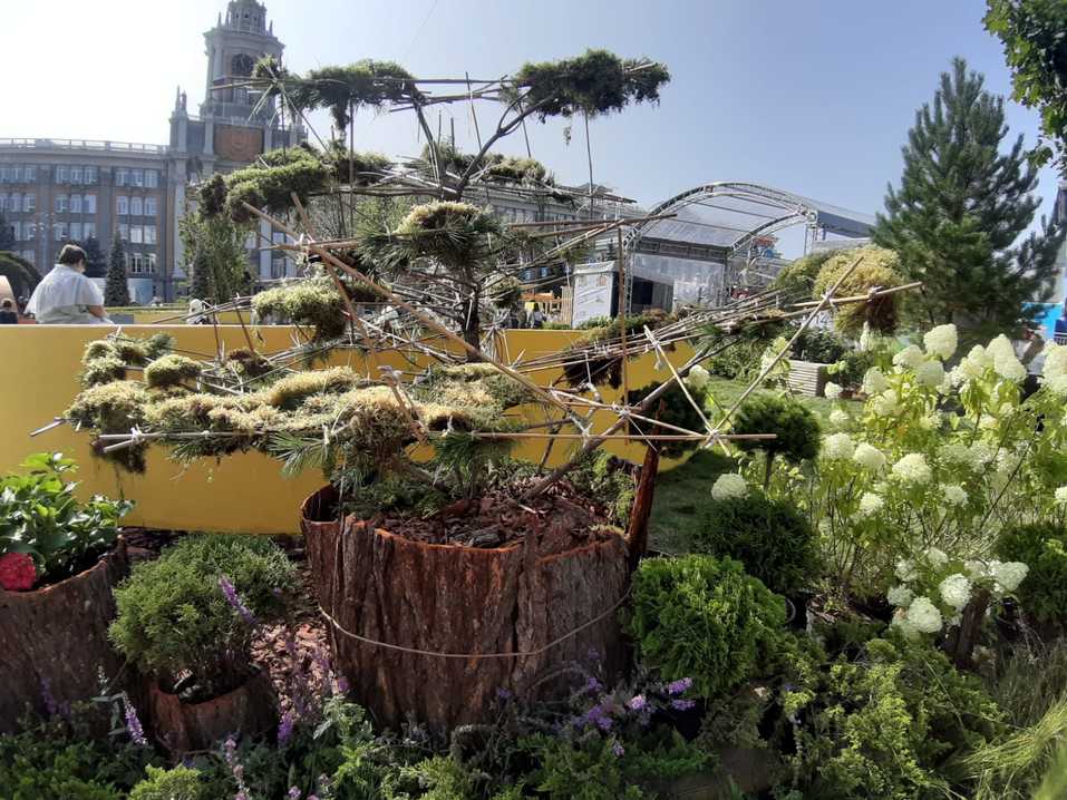 На площади 1905 года атмосферно: деревья в кадках, фотозоны, мастер-классы. Фоторепортаж 12 На площади 1905 года атмосферно: деревья в кадках, фотозоны, мастер-классы. Фоторепортаж 12