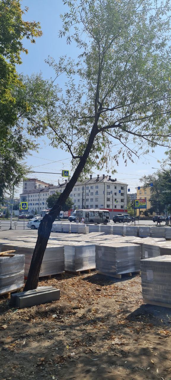 В центре Челябинска к концу сентября появится новый сквер 4 В центре Челябинска к концу сентября появится новый сквер 4