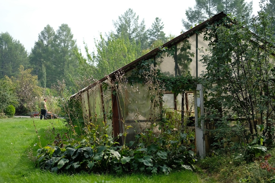 Ботанический сад УрФУ Ботанический сад УрФУ