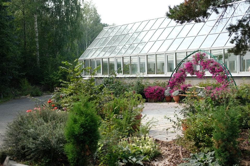 Ботанический сад УрФУ. Фото: УрФУ / Елизавета Веретенникова. Ботанический сад УрФУ. Фото: УрФУ / Елизавета Веретенникова.