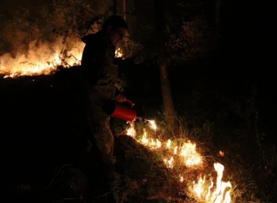 Пожары под Екатеринбургом не могут потушить несколько дней. МЧС эвакуирует садоводов 2 Пожары под Екатеринбургом не могут потушить несколько дней. МЧС эвакуирует садоводов 2