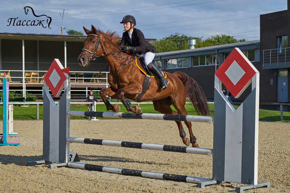 Чемпионат и первенство Нижегородской области по конкуру состоятся 11 и 12 сентября 1 Чемпионат и первенство Нижегородской области по конкуру состоятся 11 и 12 сентября 1