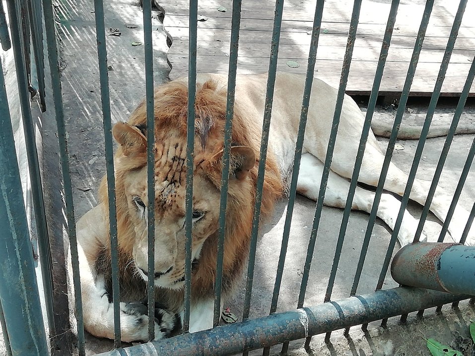 А мы пойдем на север. И на восток. Новые направления отдыха и туризма 11 А мы пойдем на север. И на восток. Новые направления отдыха и туризма 11