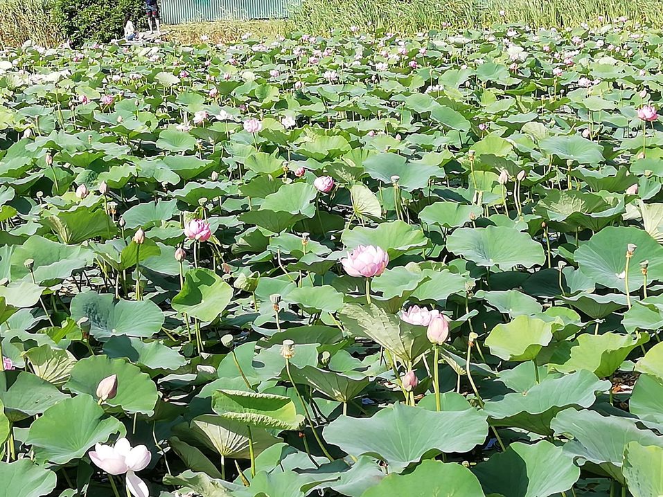 А мы пойдем на север. И на восток. Новые направления отдыха и туризма 12 А мы пойдем на север. И на восток. Новые направления отдыха и туризма 12