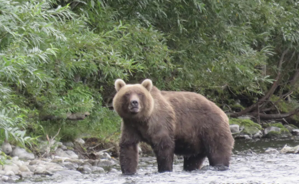А мы пойдем на север. И на восток. Новые направления отдыха и туризма 3 А мы пойдем на север. И на восток. Новые направления отдыха и туризма 3