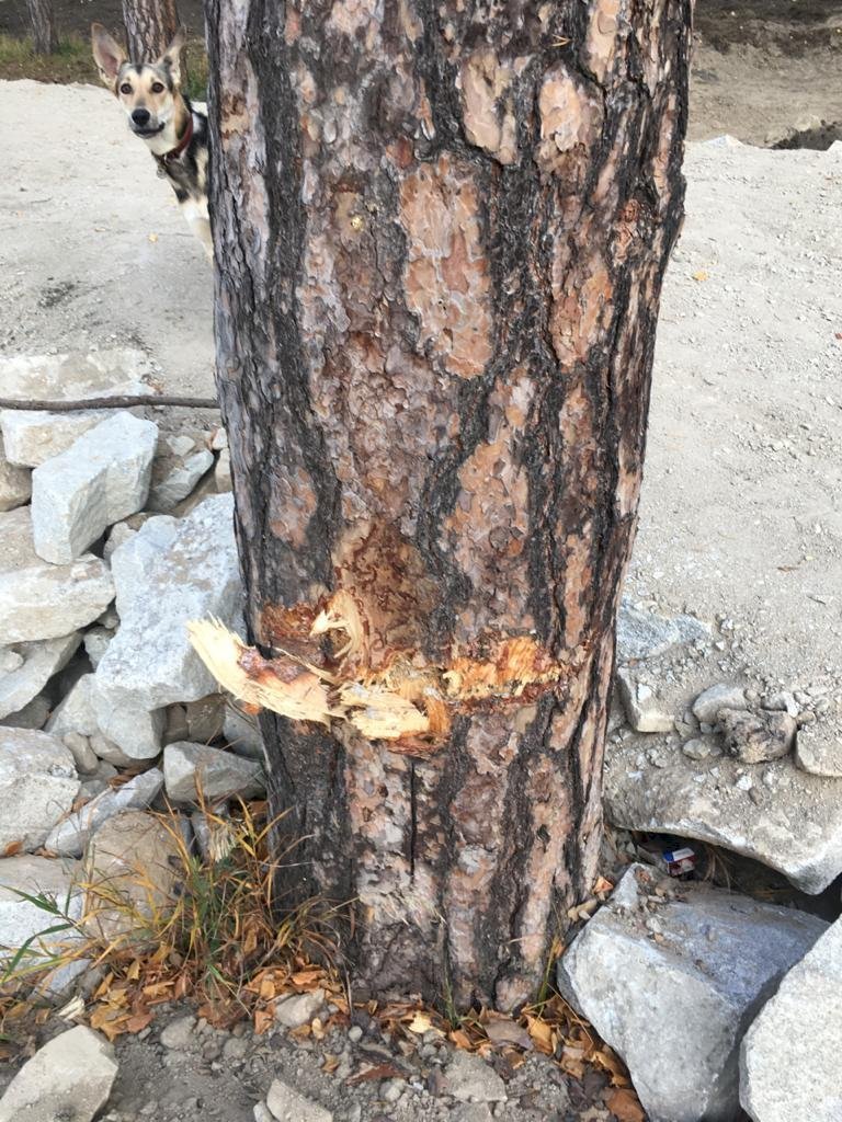 Набережная Среднеуральска испорчена в результате благоустройства 2 Набережная Среднеуральска испорчена в результате благоустройства 2