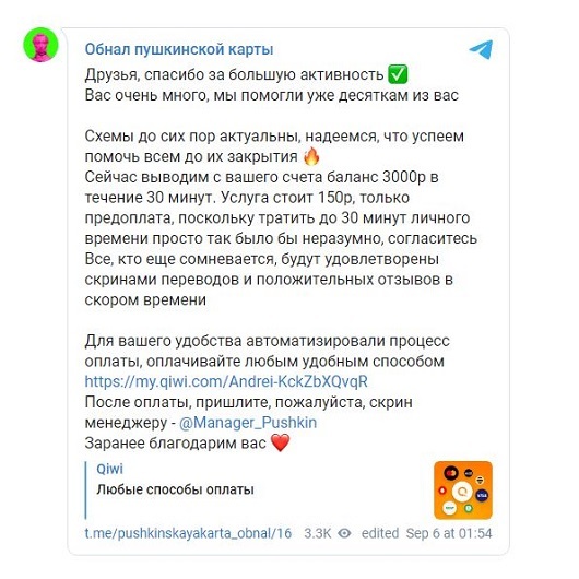 «Пушкинскими картами» в Челябинске начали торговать 1