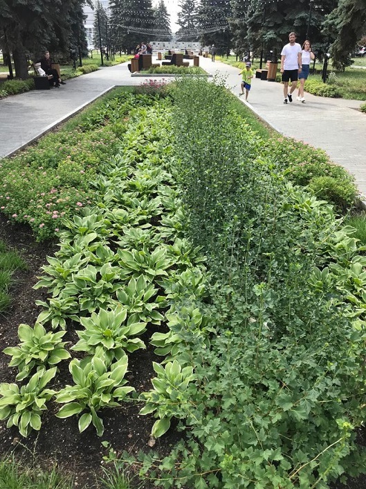 Мэрия Челябинска раздала награды за лучшие клумбы и общественные пространства 1 Мэрия Челябинска раздала награды за лучшие клумбы и общественные пространства 1