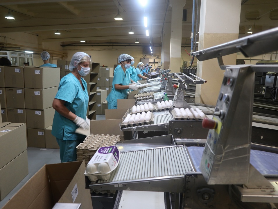 Сергей Казаков: Как заработать миллионы, убивая «ежиков» 3 Сергей Казаков: Как заработать миллионы, убивая «ежиков» 3