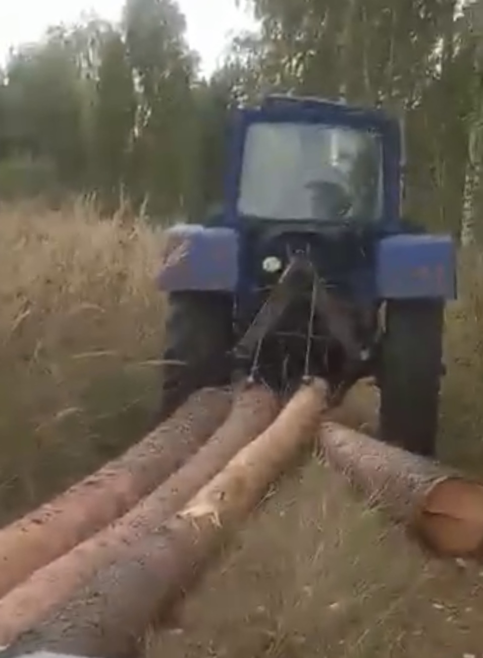 Теперь браконьеров можно подслушать. Благодаря уникальному прибору пресечена вырубка леса 1 Теперь браконьеров можно подслушать. Благодаря уникальному прибору пресечена вырубка леса 1