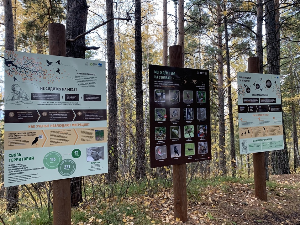 Новая площадка для бёрдвотчинга появилась в Красноярске 1 Новая площадка для бёрдвотчинга появилась в Красноярске 1