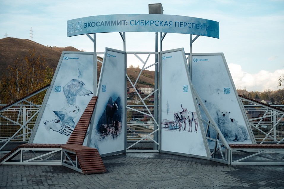 Быть экологичным выгодно: что обсуждали эксперты Международного экосаммита в Красноярске 1 Быть экологичным выгодно: что обсуждали эксперты Международного экосаммита в Красноярске 1