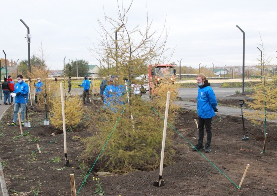 В парке на ЧТЗ посадили даурские лиственницы 1 В парке на ЧТЗ посадили даурские лиственницы 1