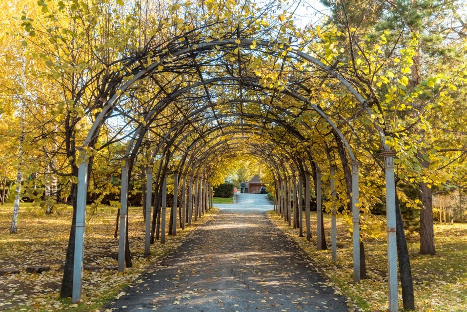 Инвестиции в левый берег: цены на новые квартиры у парка подорожают уже в октябре 3 Инвестиции в левый берег: цены на новые квартиры у парка подорожают уже в октябре 3