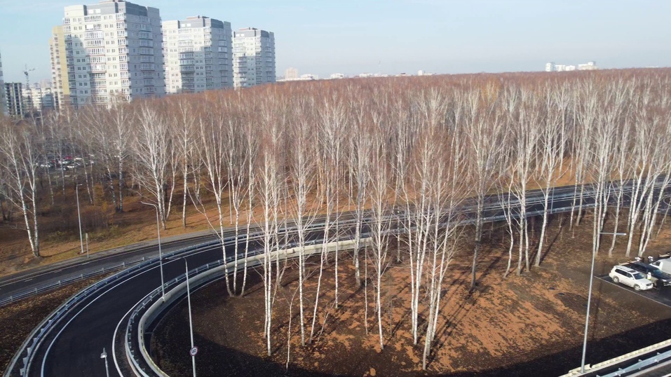 Местные жители опасались, что березовую рощу вырубят, но этого не произошло Местные жители опасались, что березовую рощу вырубят, но этого не произошло