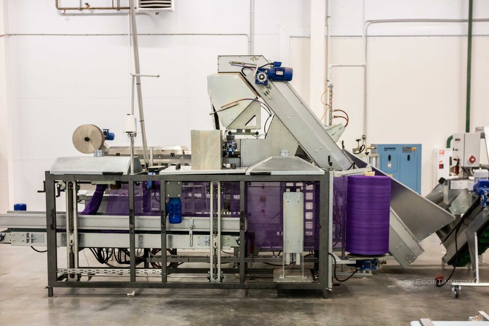 «Выйти из каменного века». Как федералы окультуривают торговлю в регионах 7 «Выйти из каменного века». Как федералы окультуривают торговлю в регионах 7