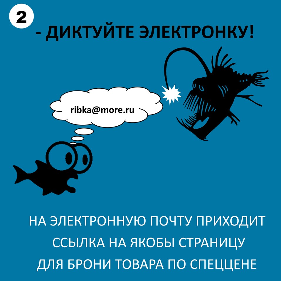 «Черные удильщики» выйдут на «рыбалку» во Всемирный день шопинга. Как защититься? 4 «Черные удильщики» выйдут на «рыбалку» во Всемирный день шопинга. Как защититься? 4