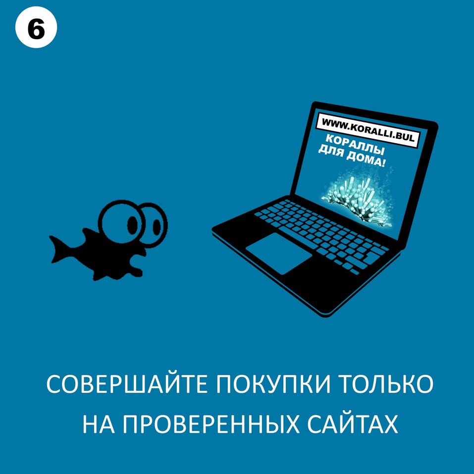 «Черные удильщики» выйдут на «рыбалку» во Всемирный день шопинга. Как защититься? 8 «Черные удильщики» выйдут на «рыбалку» во Всемирный день шопинга. Как защититься? 8