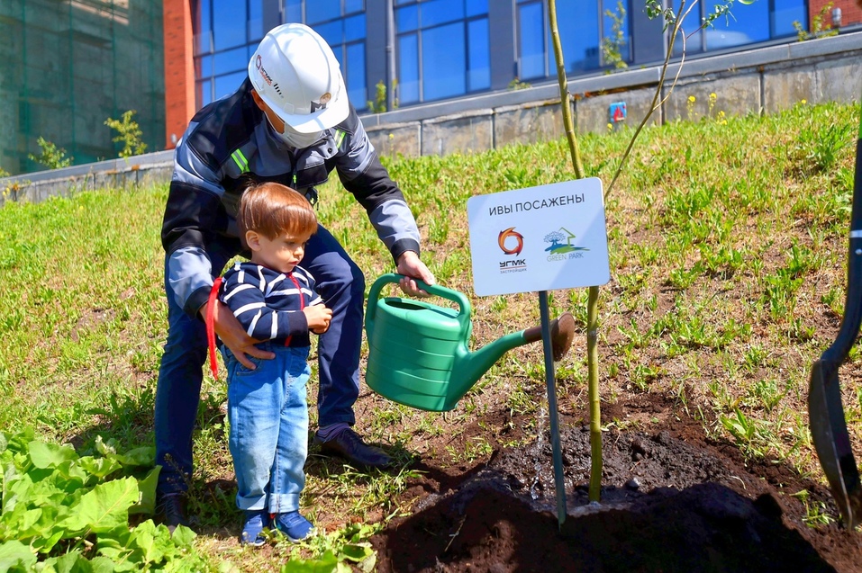 Высадка плакучих ив на набережной возле "Макаровского" Высадка плакучих ив на набережной возле "Макаровского"